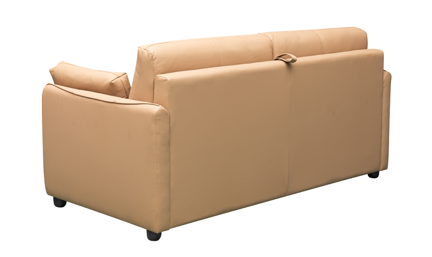 Jennifer Smart 2-Seater Leather Queen Sleeper Sofa