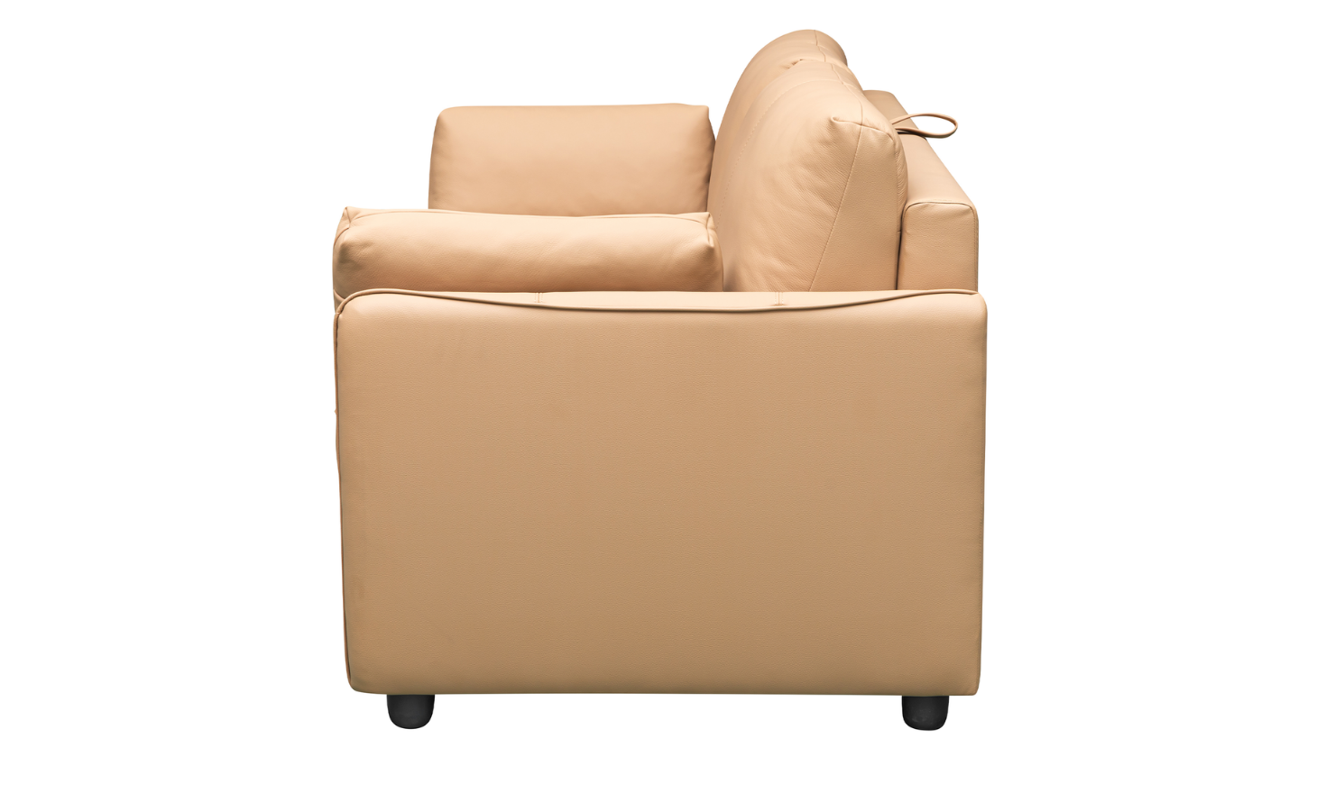 Jennifer Smart 2-Seater Leather Queen Sleeper Sofa