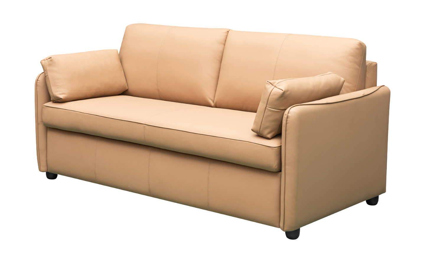 Jennifer Smart 2-Seater Leather Queen Sleeper Sofa