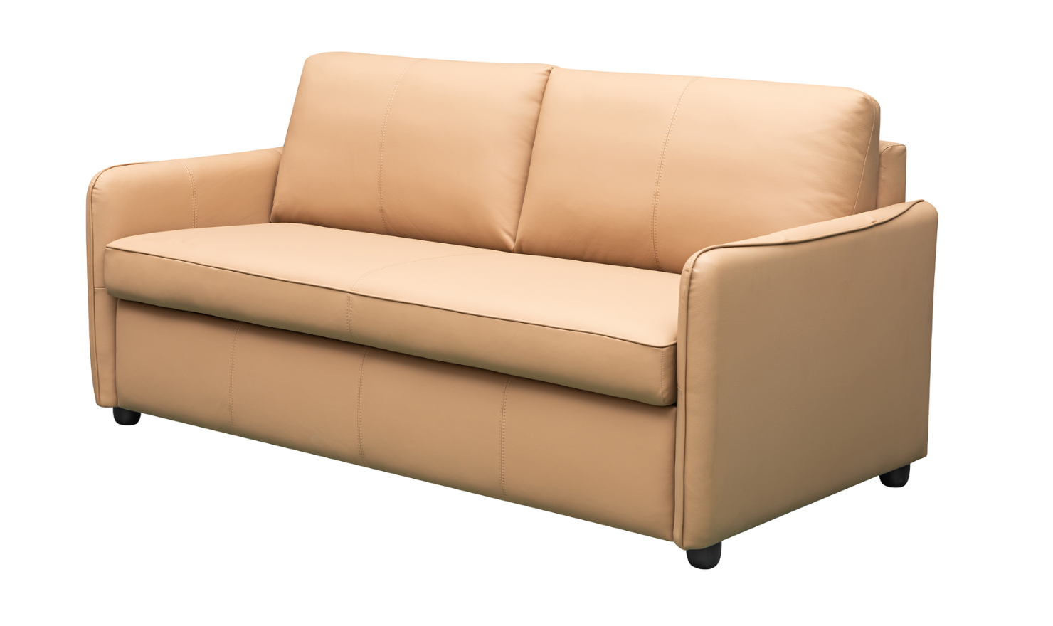 Jennifer Smart 2-Seater Leather Queen Sleeper Sofa