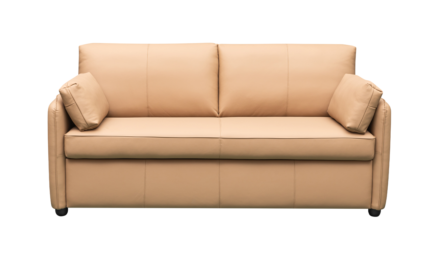 Jennifer Smart 2-Seater Leather Queen Sleeper Sofa