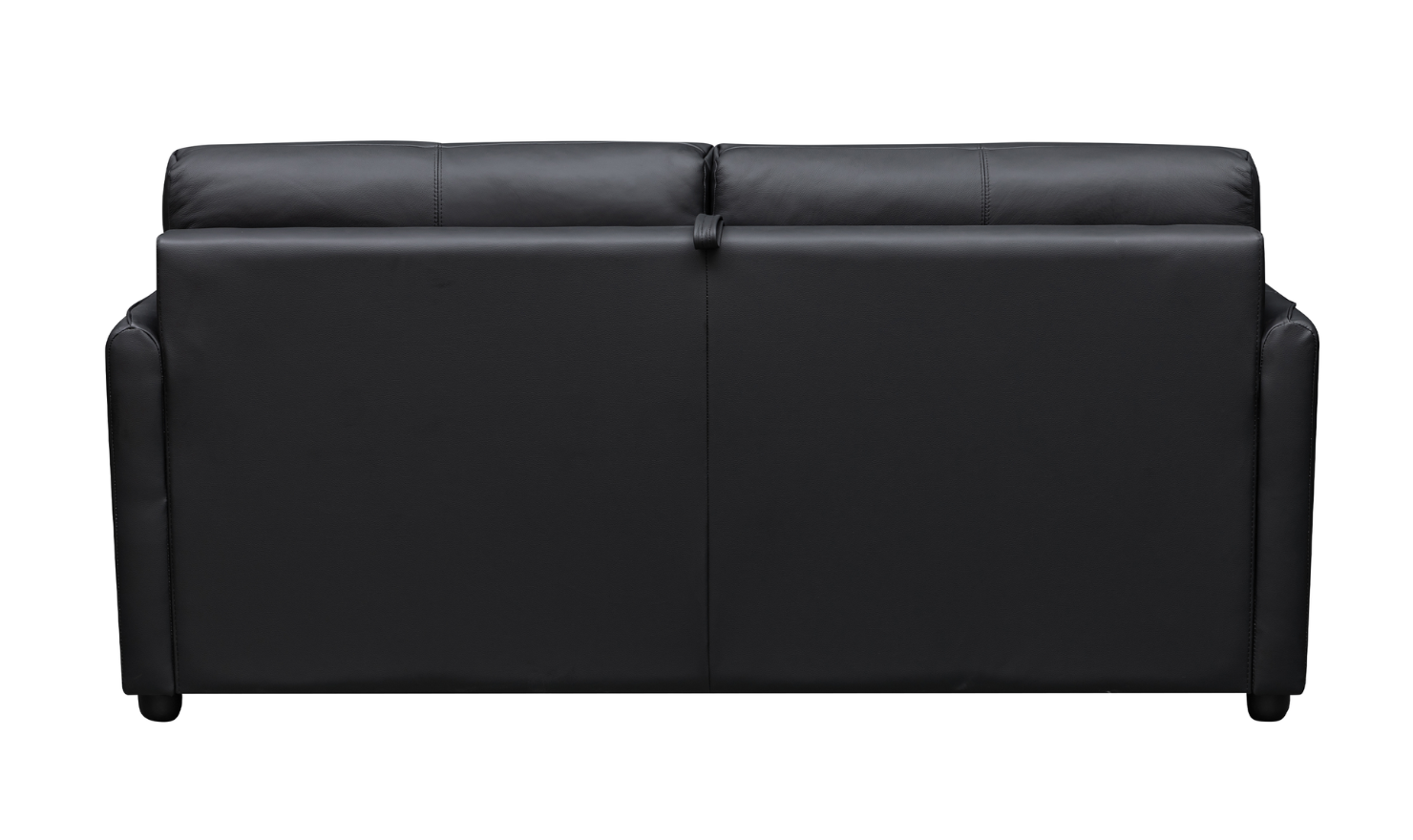 Jennifer Smart 2-Seater Leather Queen Sleeper Sofa