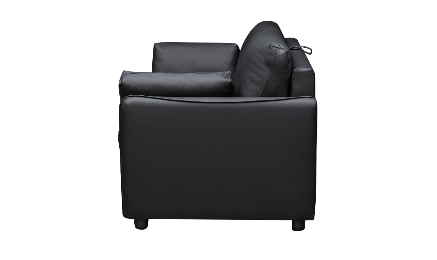 Jennifer Smart 2-Seater Leather Queen Sleeper Sofa