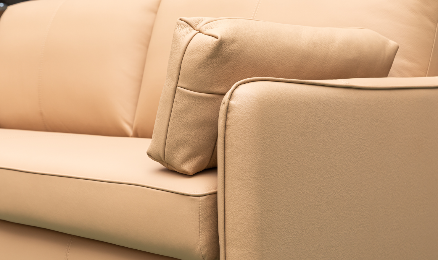 Jennifer Smart 2-Seater Leather Queen Sleeper Sofa
