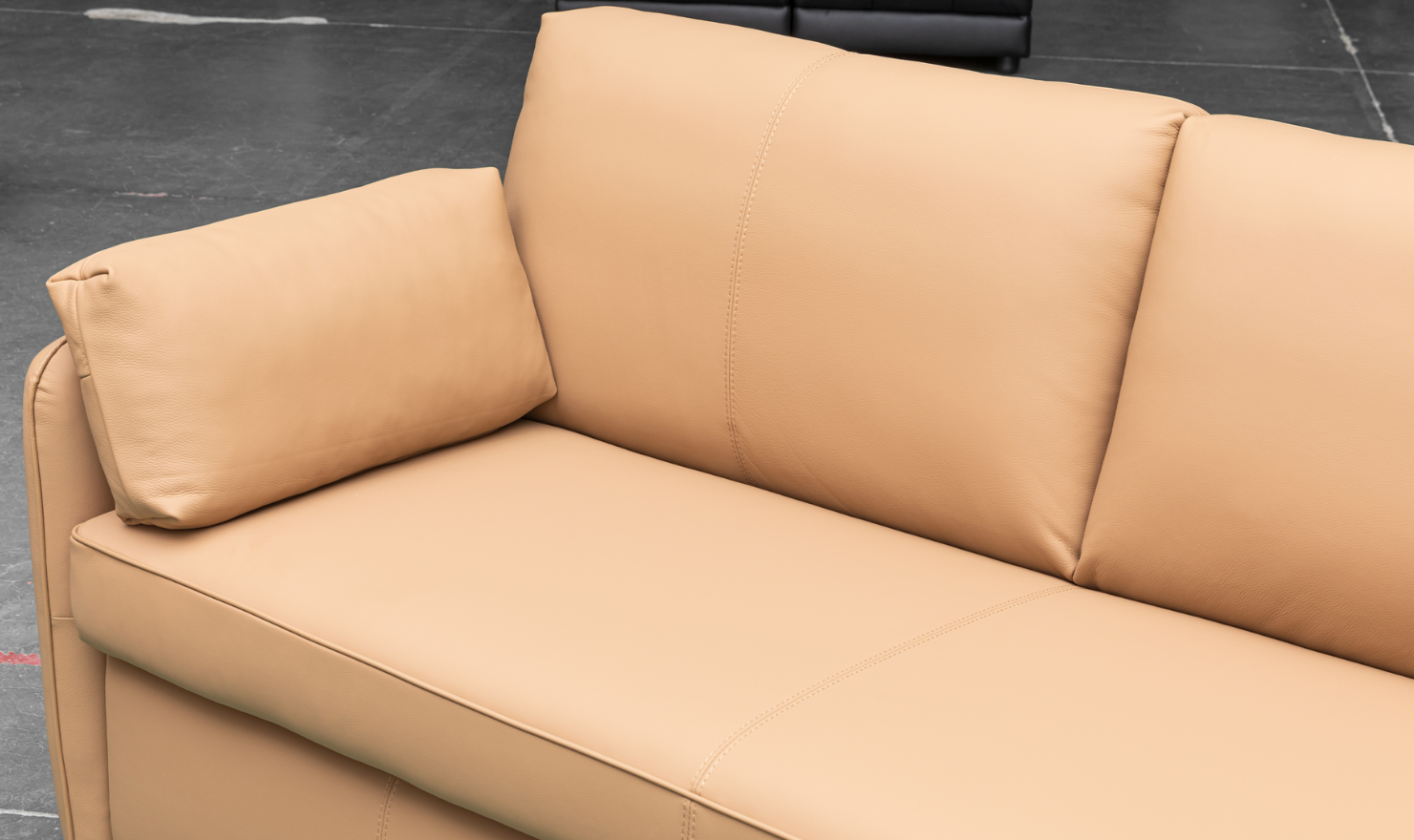 Jennifer Smart 2-Seater Leather Queen Sleeper Sofa