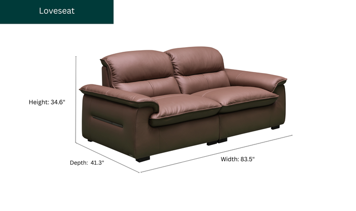 Klaussner Velisse Stationary Leather Loveseat with  S-spring Seats