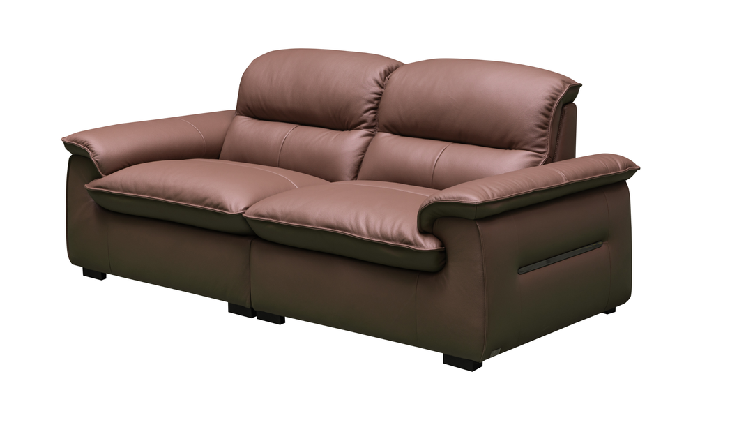 Klaussner Velisse Stationary Leather Loveseat with  S-spring Seats