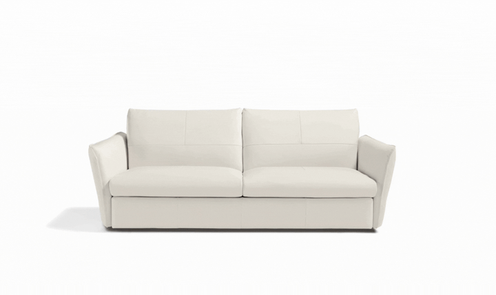 La Casa 2 Seater Leather Sleeper Sofa With Track Arms