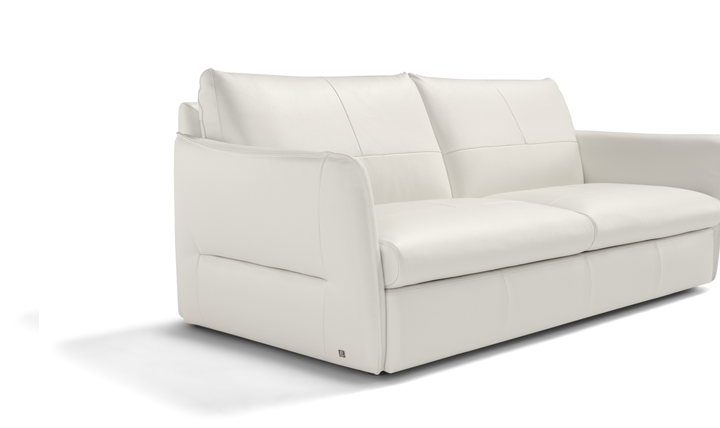 La Casa 2 Seater Leather Sleeper Sofa With Track Arms
