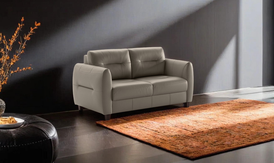 Leather loveseat sleeper sofa store