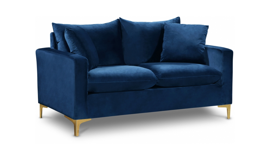 Meridian Furniture Naomi 58" Velvet Upholstered Loveseat