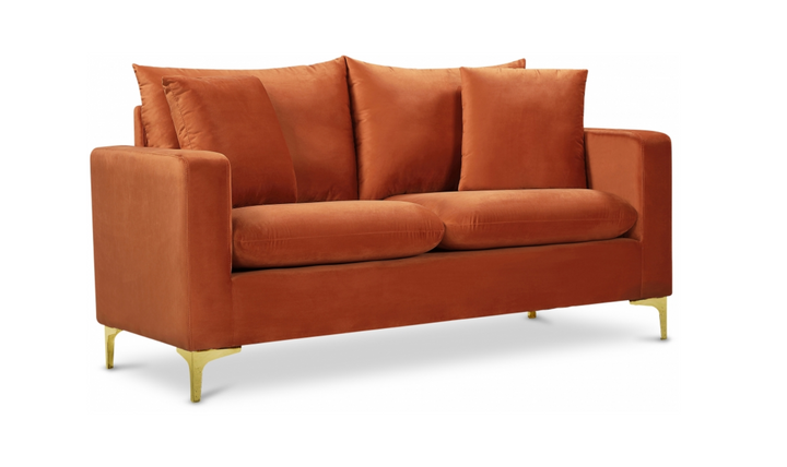 Meridian Furniture Naomi 58" Velvet Upholstered Loveseat