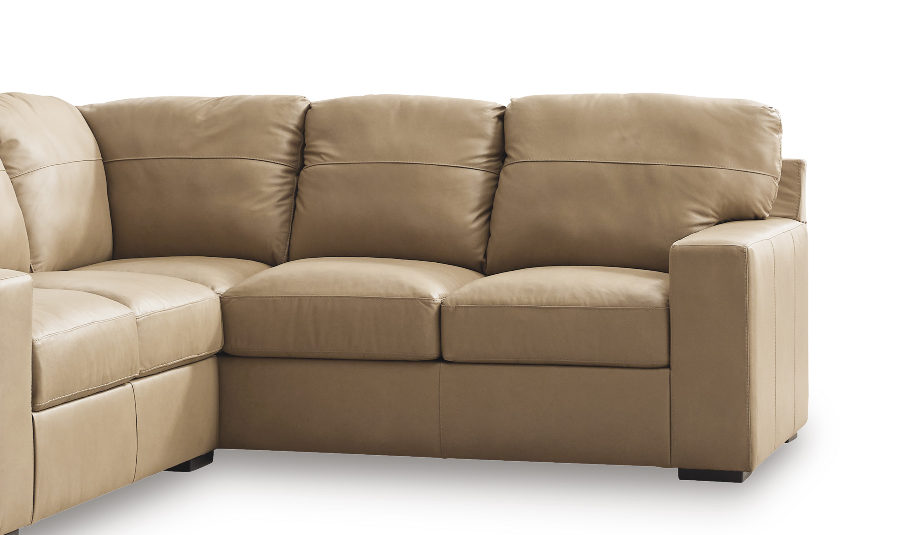 Modern Heritage Bandon Leather 2-Piece Sectional in Toffee