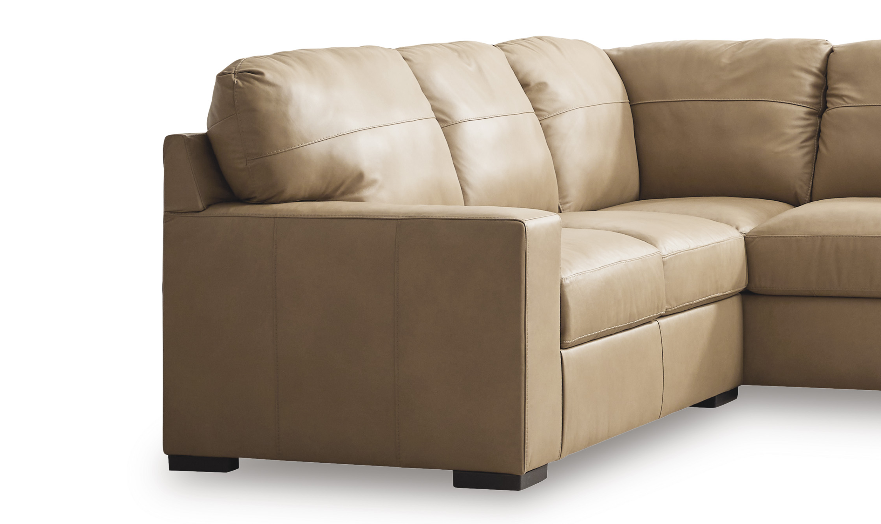Modern Heritage Bandon Leather 2-Piece Sectional in Toffee