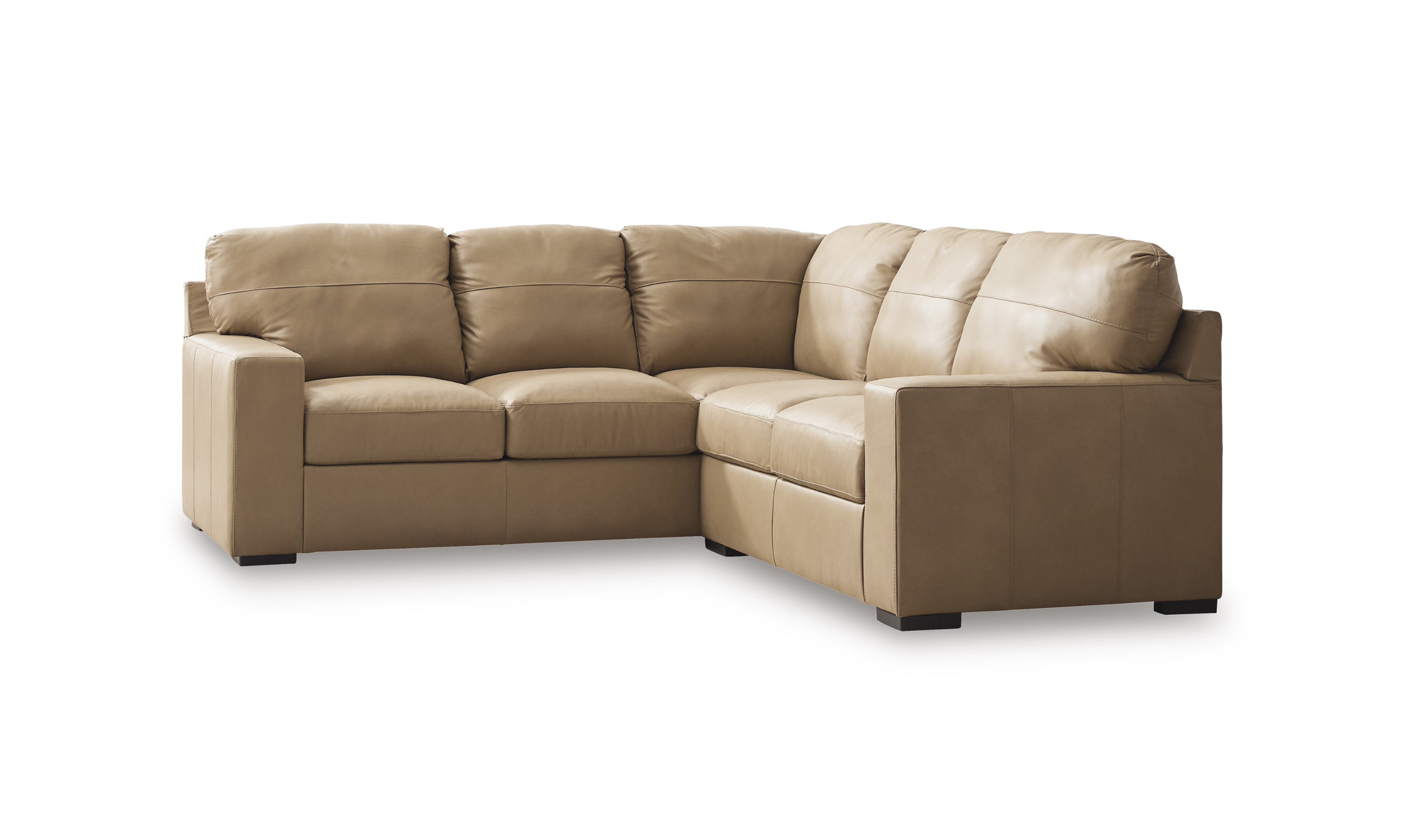 Modern Heritage Bandon Leather 2-Piece Sectional in Toffee