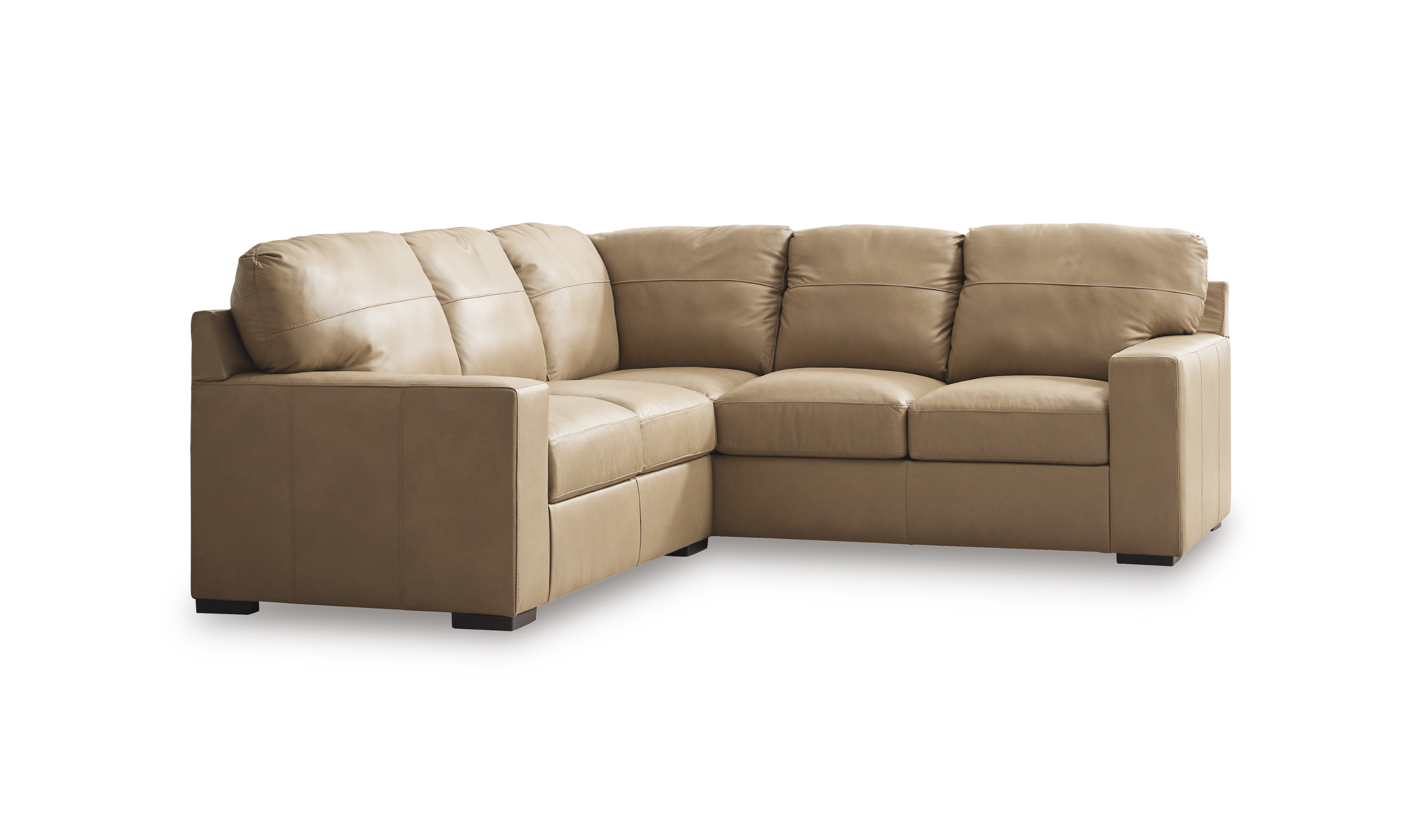 Modern Heritage Bandon Leather 2-Piece Sectional in Toffee