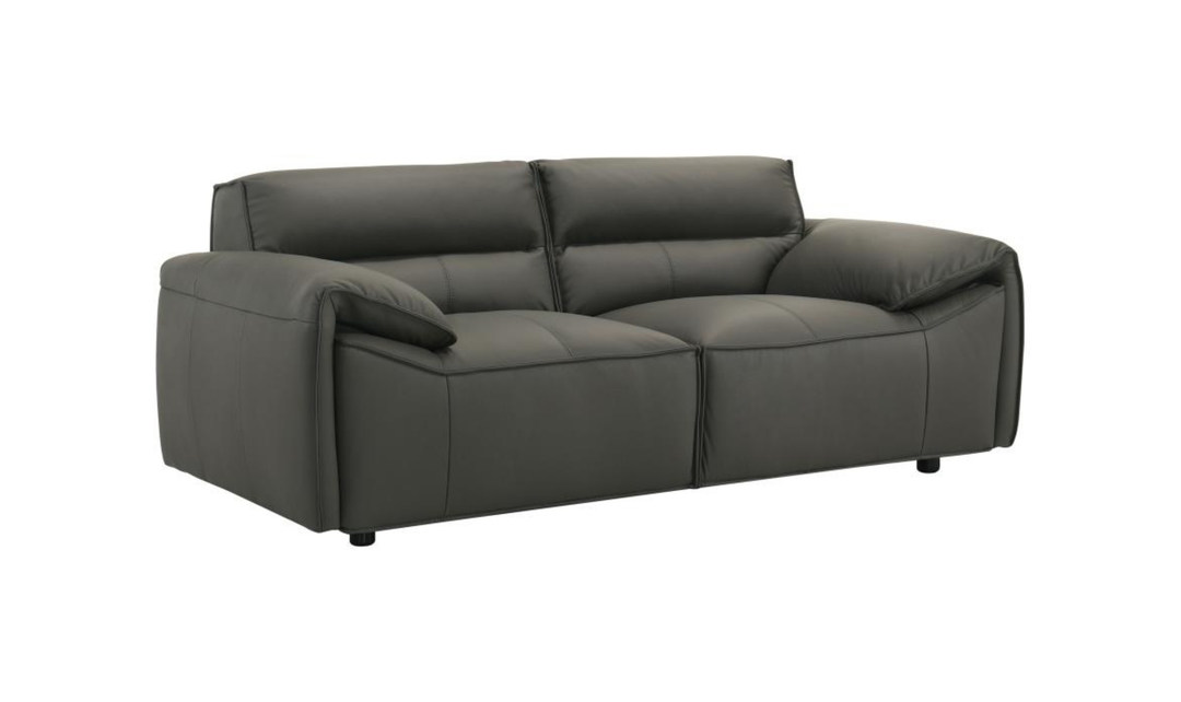 Modern Heritage Buxton Leather Loveseat with Wide Track Arms-jennifer