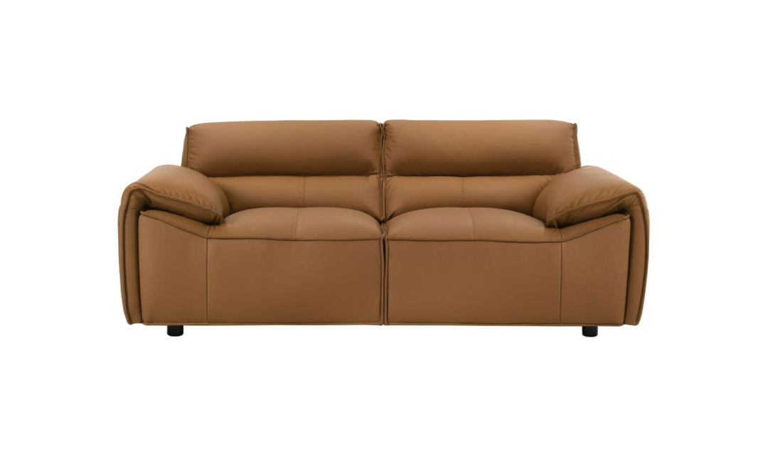 Modern Heritage Buxton Leather Loveseat with Wide Track Arms-jennifer