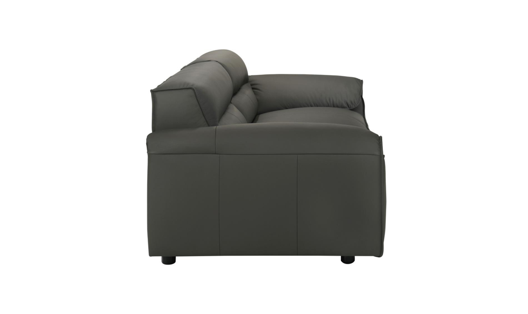 Modern Heritage Buxton Leather Sofa with Wide Track Arms-jennifer