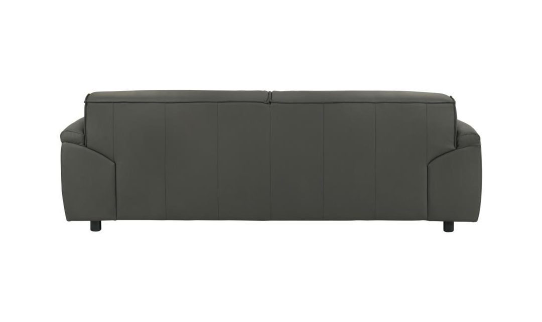 Modern Heritage Buxton Leather Sofa with Wide Track Arms-jennifer