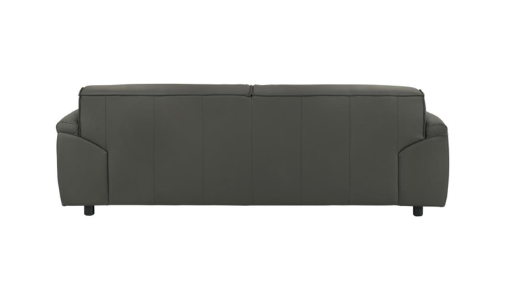 Modern Heritage Buxton Leather Sofa with Wide Track Arms-jennifer