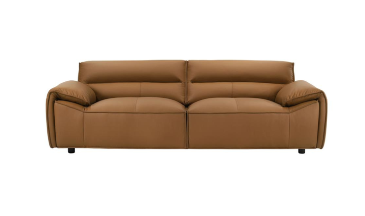 Modern Heritage Buxton Leather Sofa with Wide Track Arms-jennifer