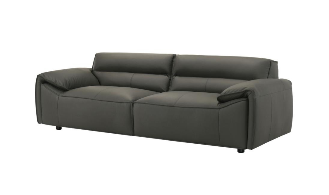 Modern Heritage Buxton Leather Sofa with Wide Track Arms-jennifer