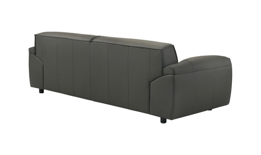 Modern Heritage Buxton Leather Sofa with Wide Track Arms-jennifer