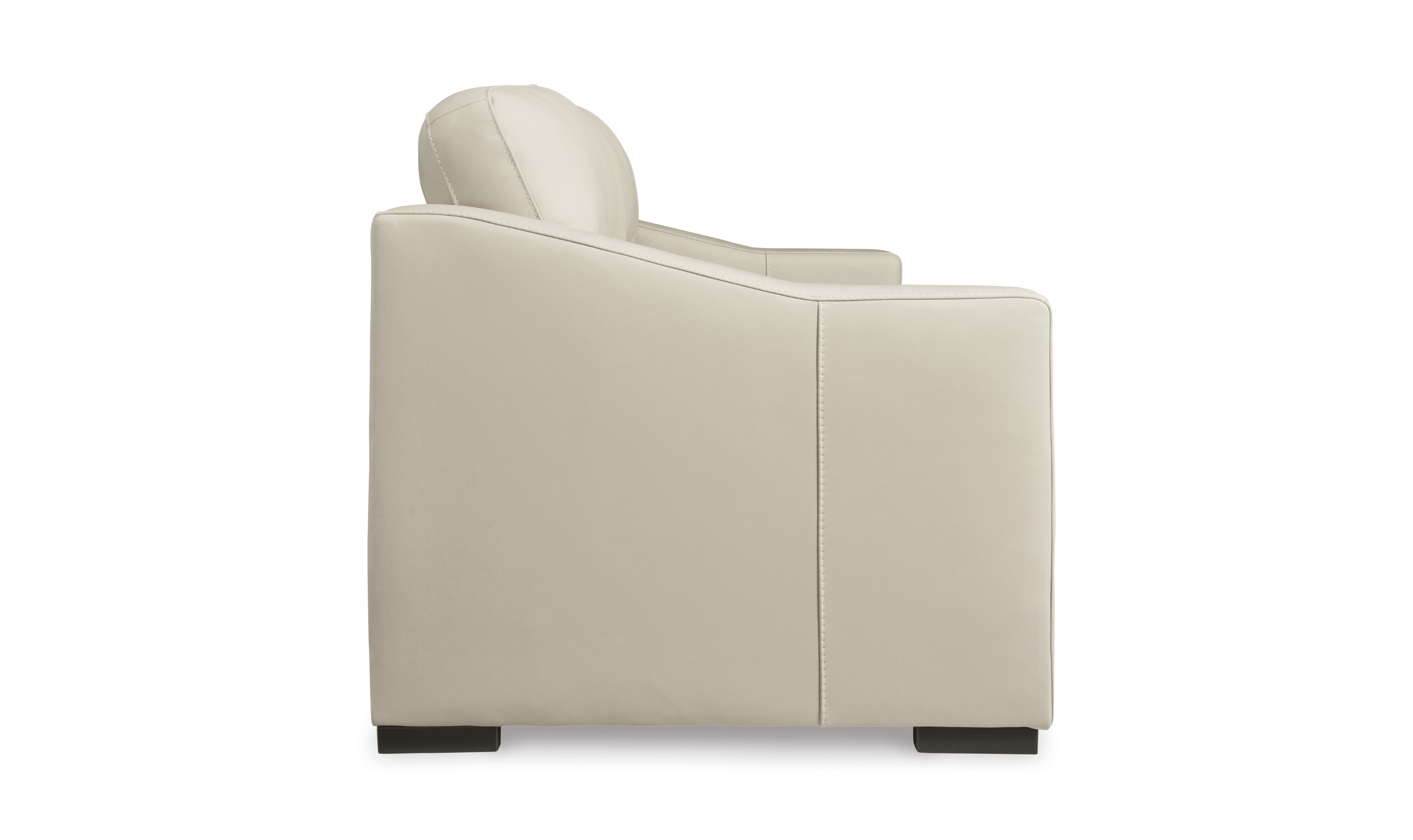 Modern Heritage Treasure Trove Leather Living Room Set in Almond
