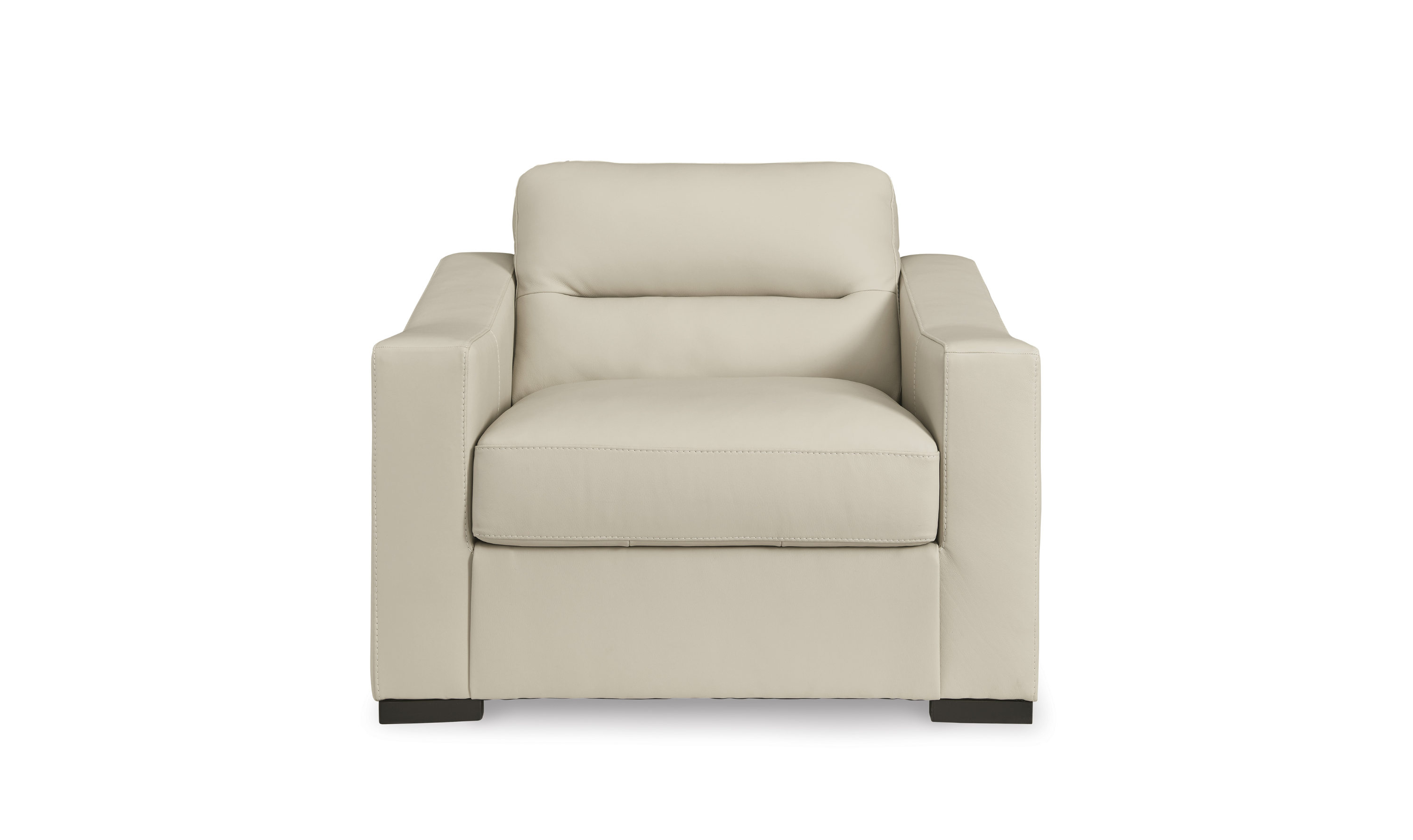 Modern Heritage Treasure Trove Leather Living Room Set in Almond