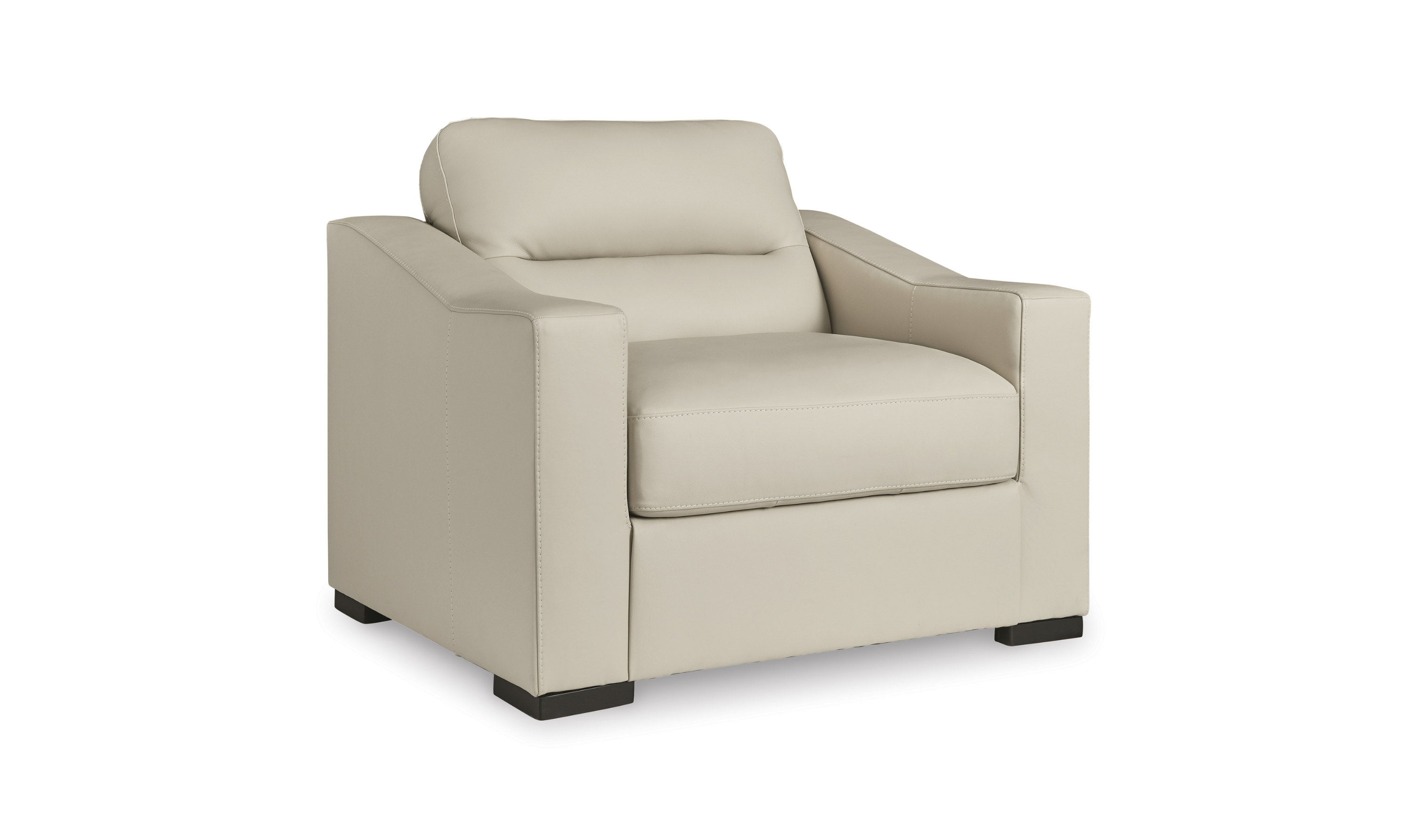 Modern Heritage Treasure Trove Leather Living Room Set in Almond