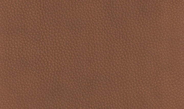 Sherwood Power Headrest Top Grain Leather Zero Gravity Recliner