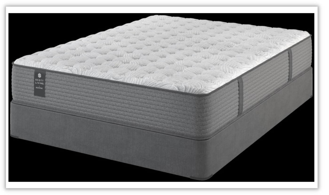 Scott Living Limited Edition by Restonic - Concord Mattress