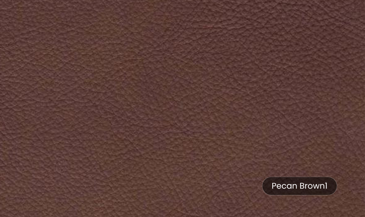 Camano Leather Chair in Leather with Nailhead Finish
