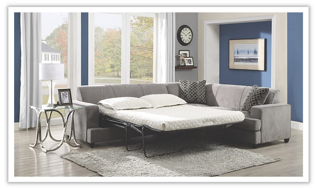 Sectionals Sleeper Sofas Baci Living Room