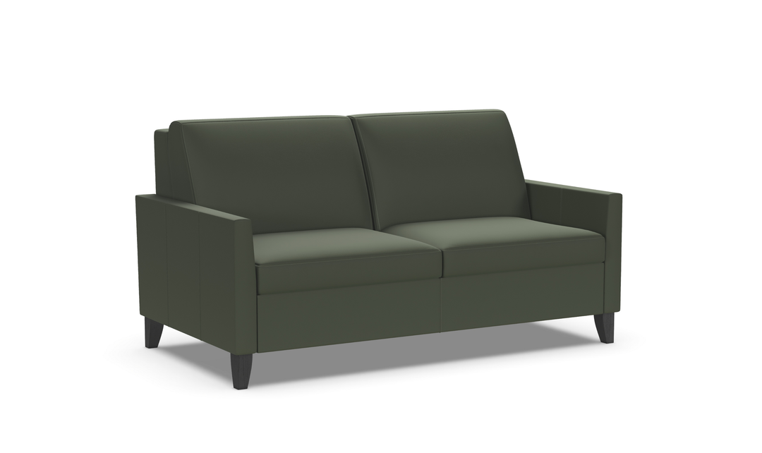 American Leather Harris Comfort Sleeper With High Wood Leg