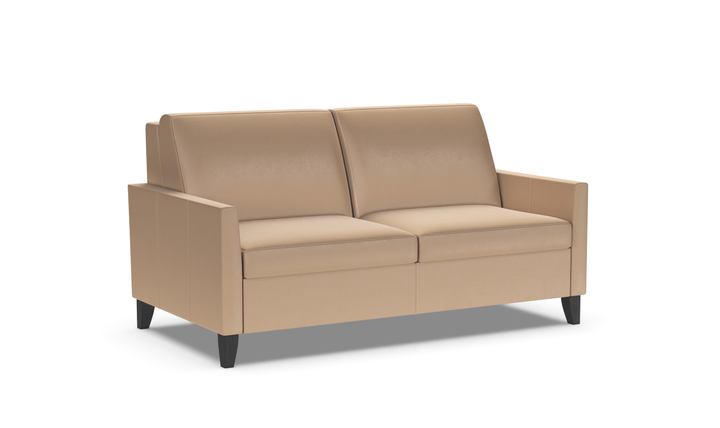 American Leather Harris Comfort Sleeper With High Wood Leg