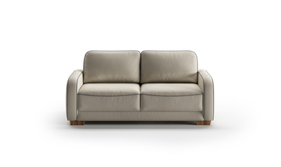 Luonto Leon 2-Seater Fabric Queen Loveseat Sleeper Sofa