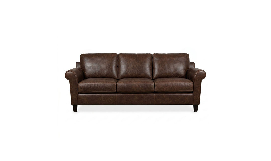 Klaussner Caroline Sofa with Rolled Arms Front View (Leather) - Jennifer furniture