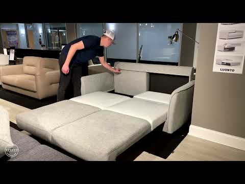 Luonto Harold Fabric Dual Motion Loveseat Sleeper