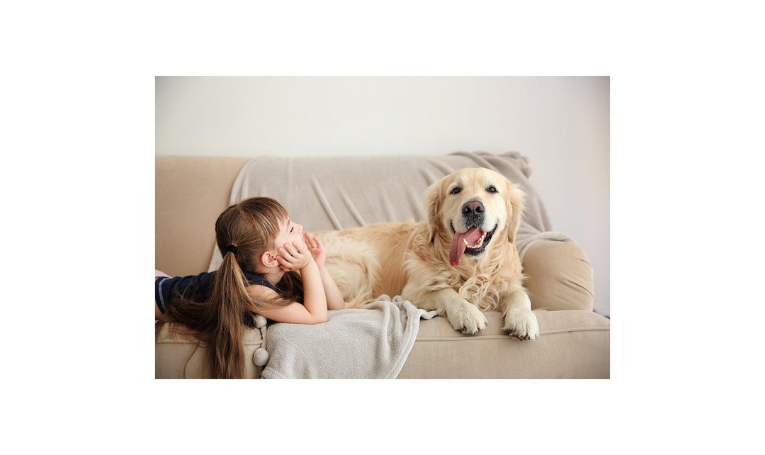 VIP Total Care Worry-Free 5 Year Plan