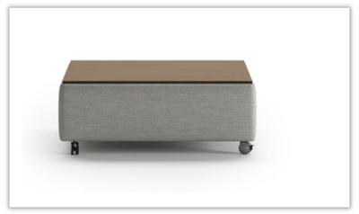 Luonto Functional Coffee Table w/ Wood Top & Storage