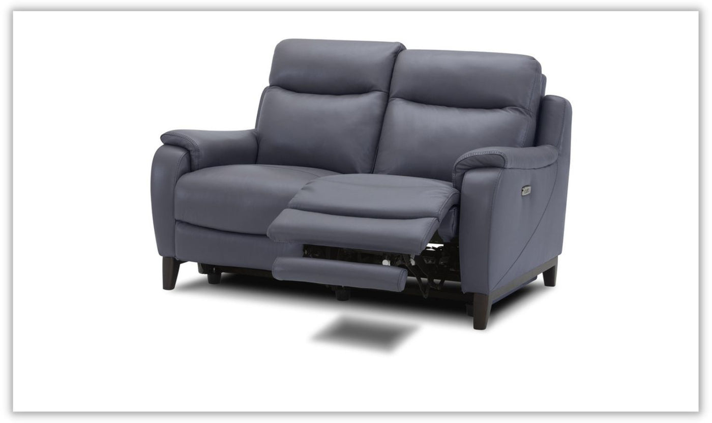 Leonard Dual Power Loveseat