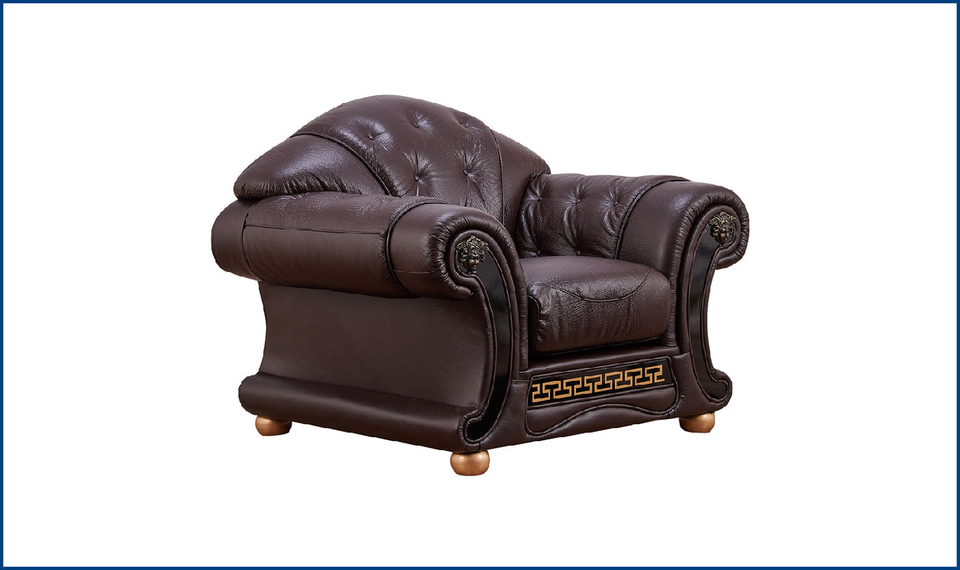 Apolo Sleeper Sofa for regal ambiance in a discount cost