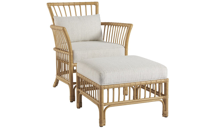 CLEARWATER LOUNGE CHAIR AND OTTOMAN COMBO-Accent Chairs-Jennifer Furniture