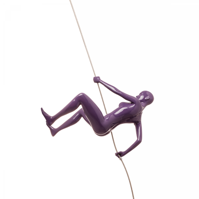 Glossy Climbing Sculpture