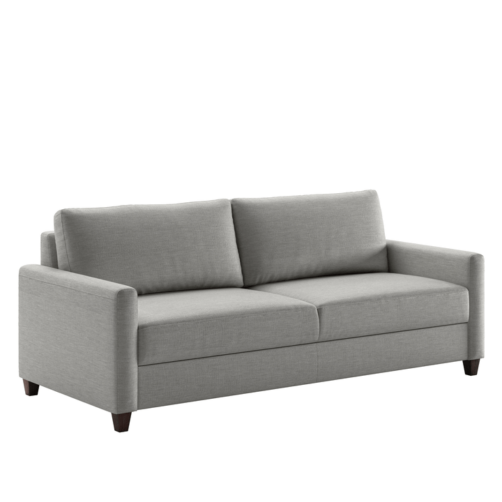 Free Sofa Sleeper