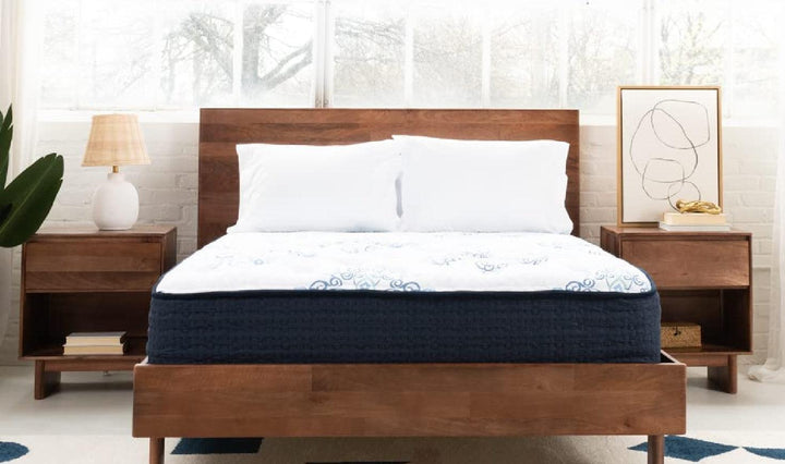 MT Dana Mattress-Mattresses-Jennifer Furniture