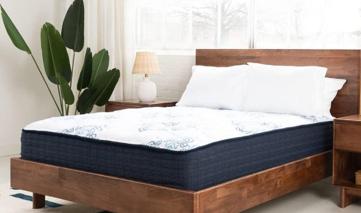 MT Dana Mattress-Mattresses-Jennifer Furniture