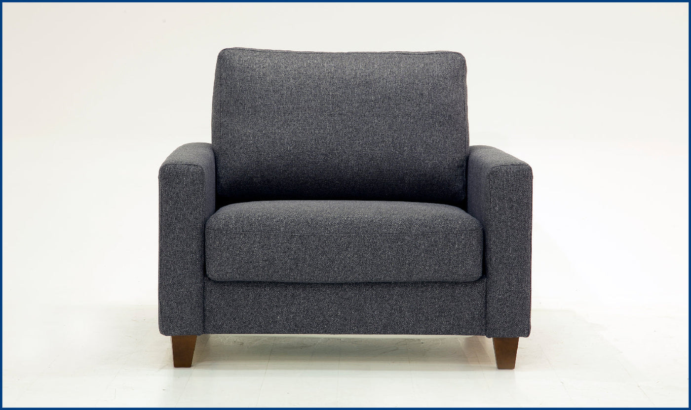 Nico Loveseat Sleeper -Sleeper Sofas-Jennifer Furniture